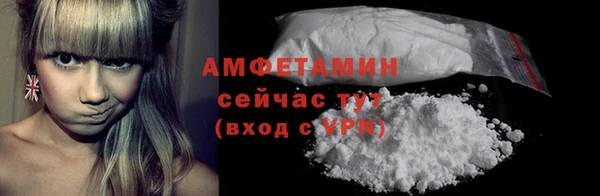 крисы Абаза
