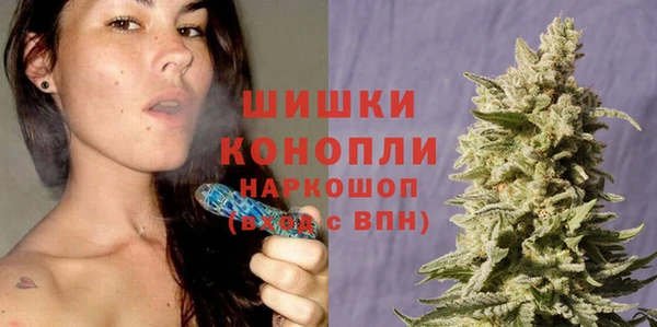 крисы Абаза