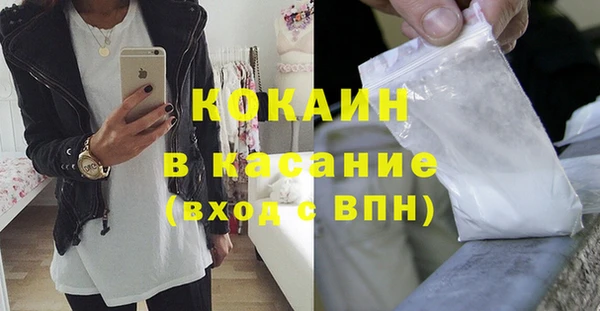 крисы Абаза