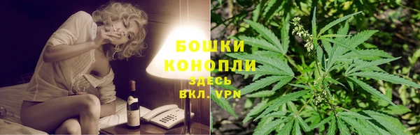 PSILOCYBIN Абдулино