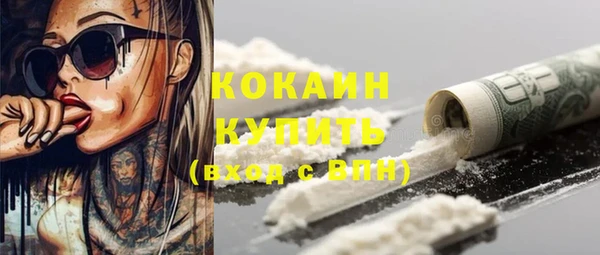 крисы Абаза
